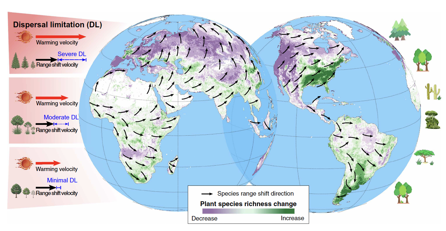 Global projections of plant range-shift directions, dispersal limitation, and changes in plant species richness