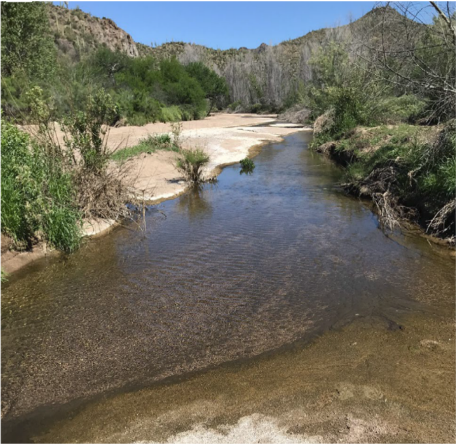 Sycamore Creek flowing through an arid landscape in Arizona